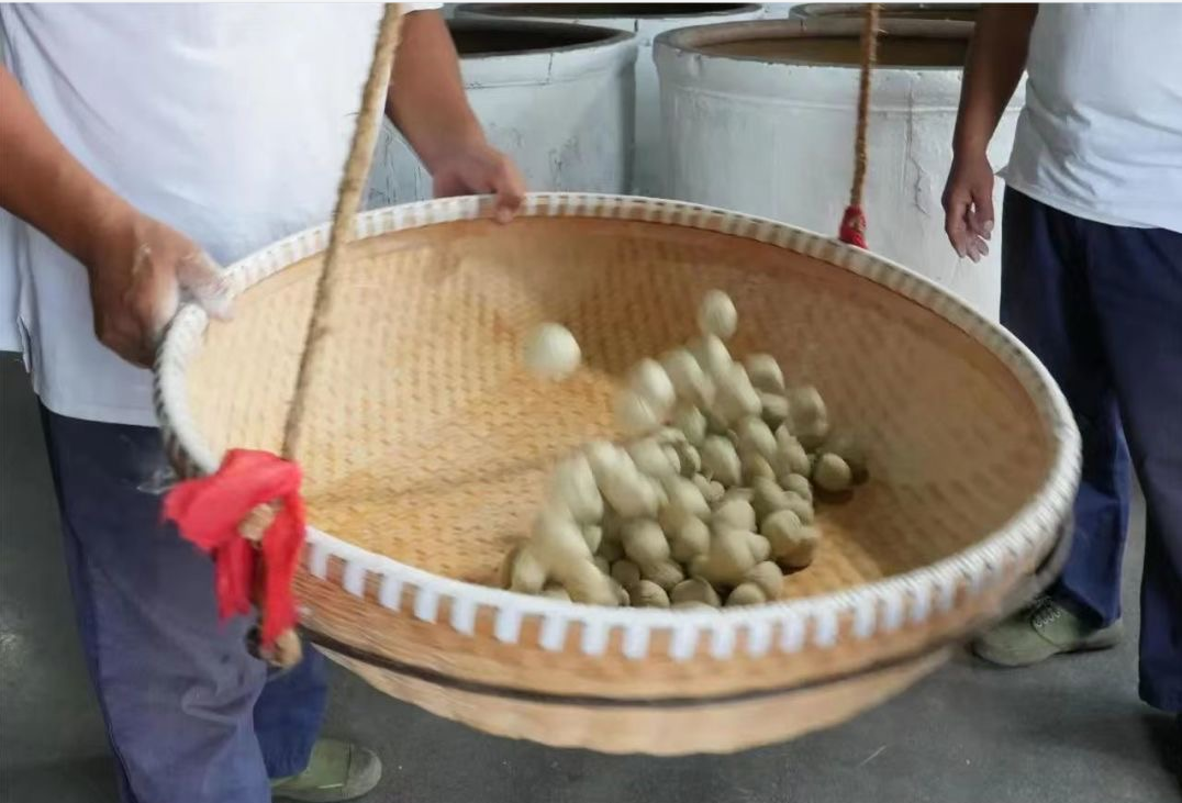 尊龙凯时(中国区)人生就是搏!