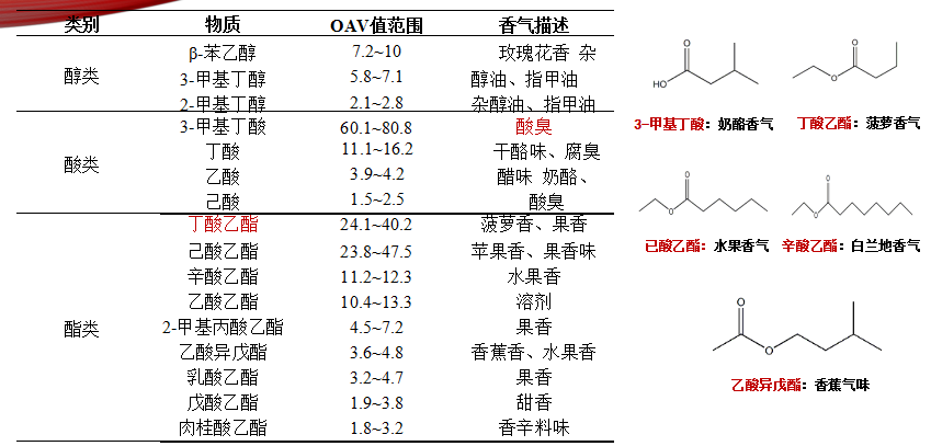 尊龙凯时(中国区)人生就是搏!